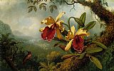 Martin Johnson Heade - Orchids and Hummingbird painting
